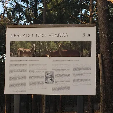 Appartamento De Standing *